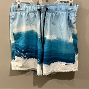 American Eagle Blue & White Striped Swim Trunks | XS